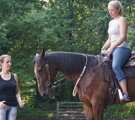 Reitstunde Katrin