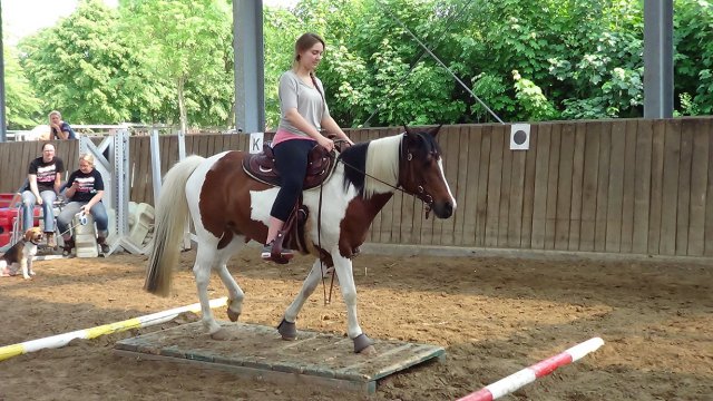 Trailkurs Rebecca