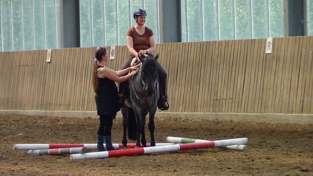 Trailkurs Heike