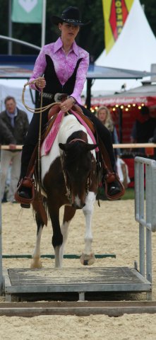 Galeriebild